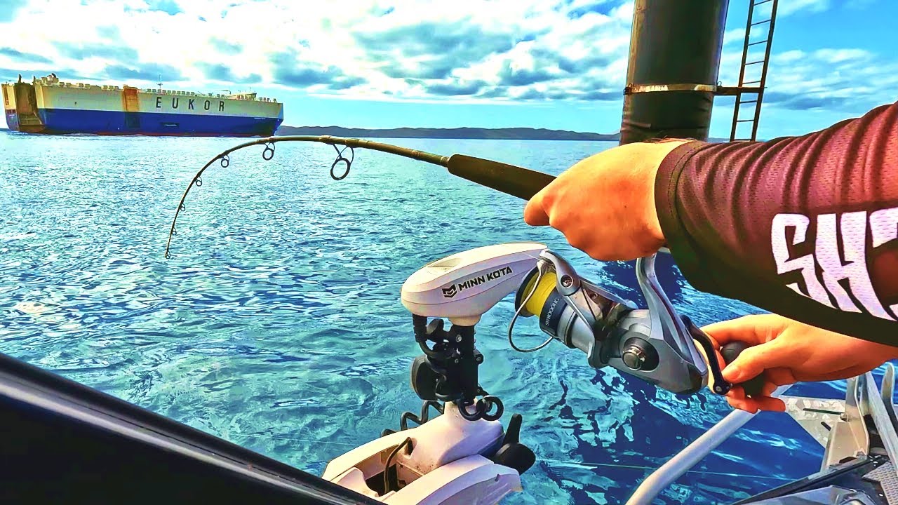 An Unexpected CATCH at a BEACON That Made Our DAY in Moreton Bay!