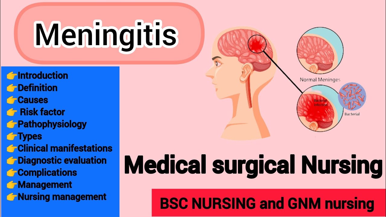 Meningitis// medical surgical Nursing// BSC NURSING 3rd YEAR 
