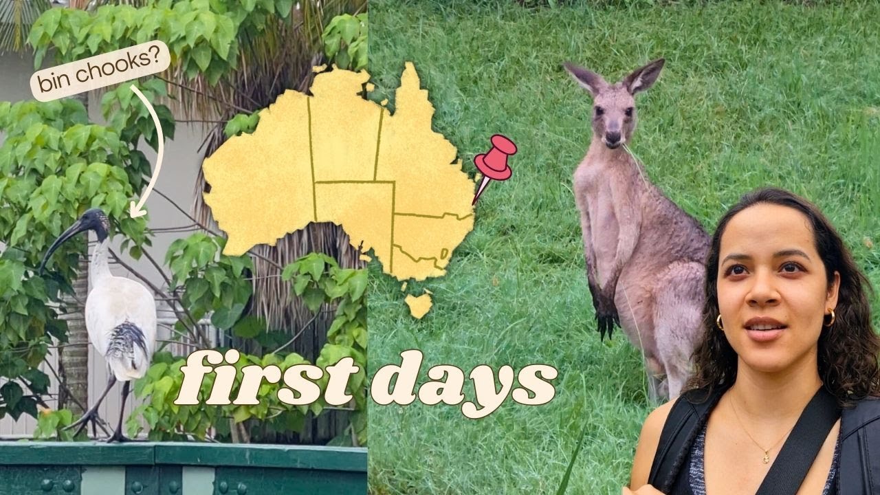 first week in Australia ☀️ Sunshine Coast, my dorm room, animals on campus