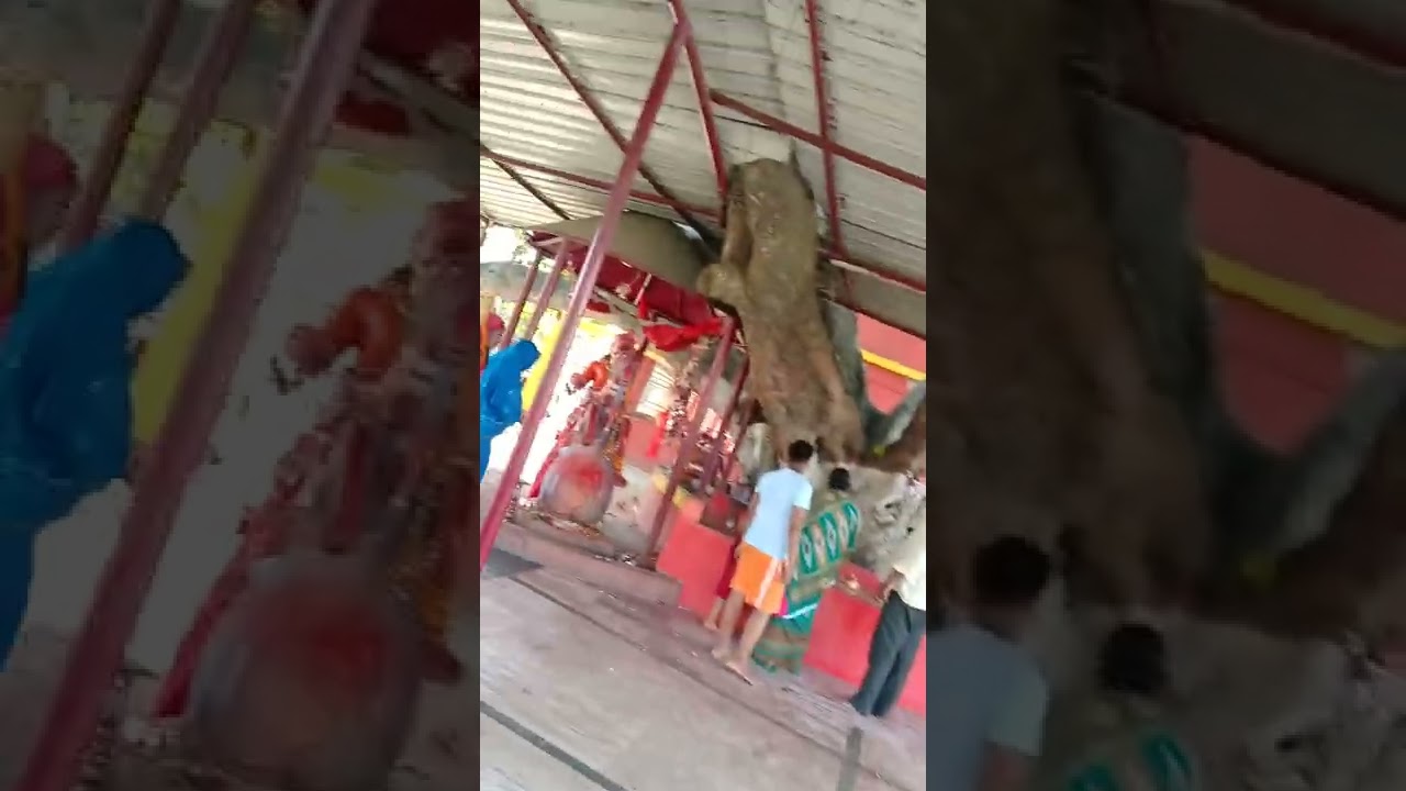 Baba keval dham (darwa) patori ....