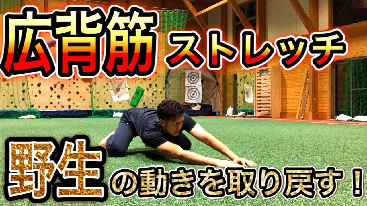 【広背筋ストレッチ】野生的な動きを取り戻す！腰痛・肩痛の人にもオススメ！