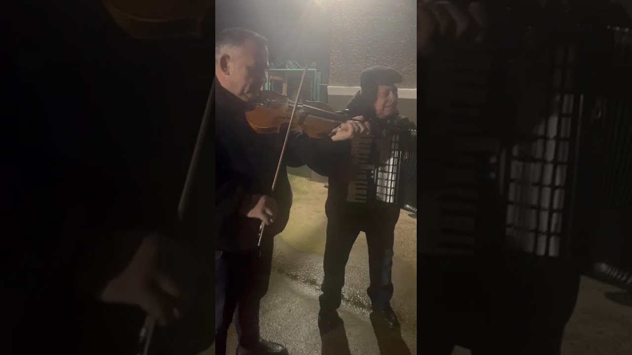 Geani Vlad 🎻și Filimon Trandafir (Hiru)🪗 învârtite de pe valea Geoagiului autentice