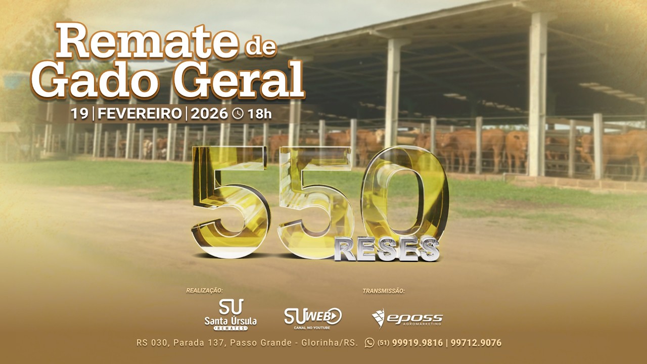 Remate de Gado Geral  - 550 Reses - 19 de Fevereiro de 2026