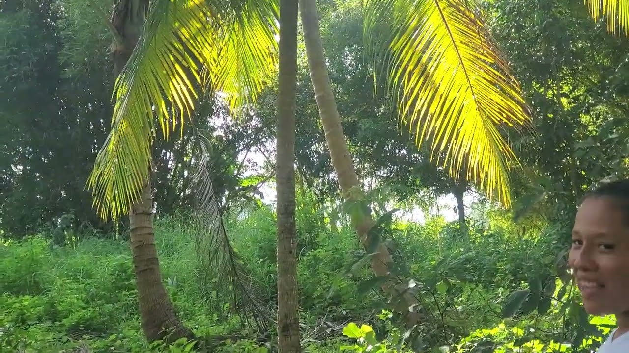 Bonito Terreno ala Venta a tan solo 75000 quetzales es bien Grande