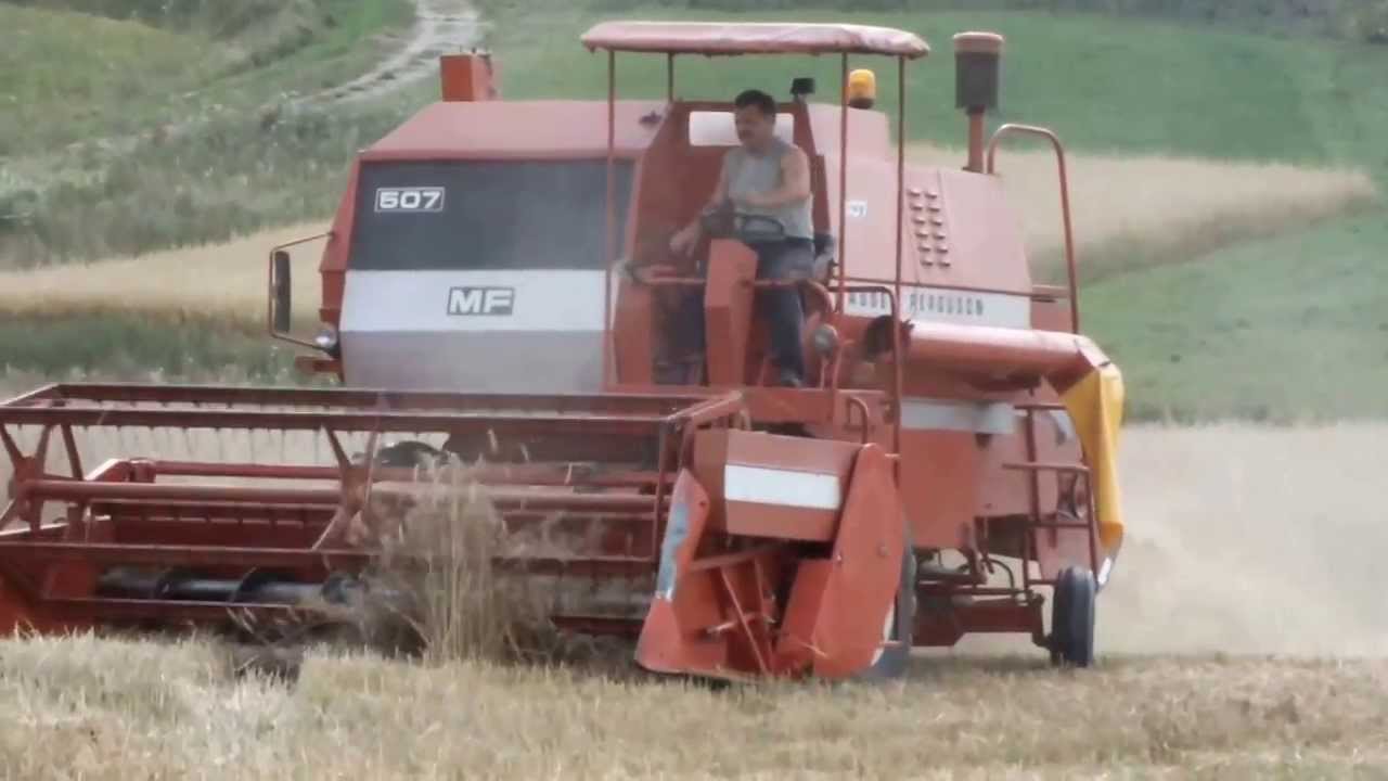 Żniwa 2013 - MF 507