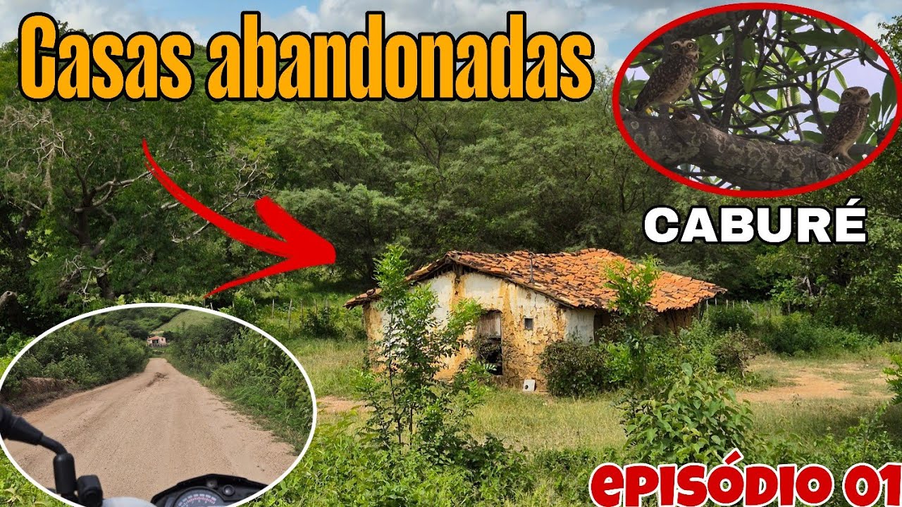 Nas Estradas do Interior do Ceará 🦉🐦🌳 | Caatinga Bem Verde | Episódio 1