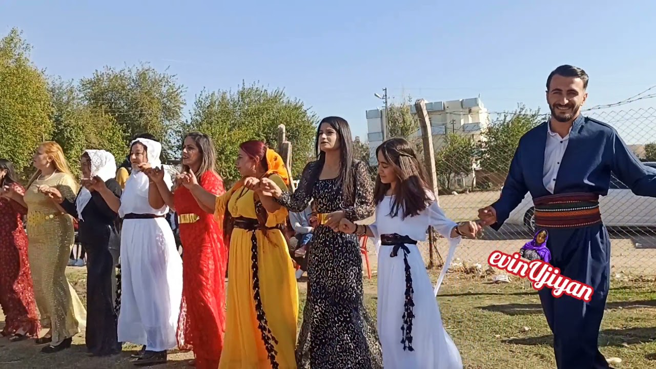 Hozan Cahfer Ciziri ile Tayyankerevan aşireti rıbeyê (kavaközü) köyü Azad & Bınefş Tunç düğünü
