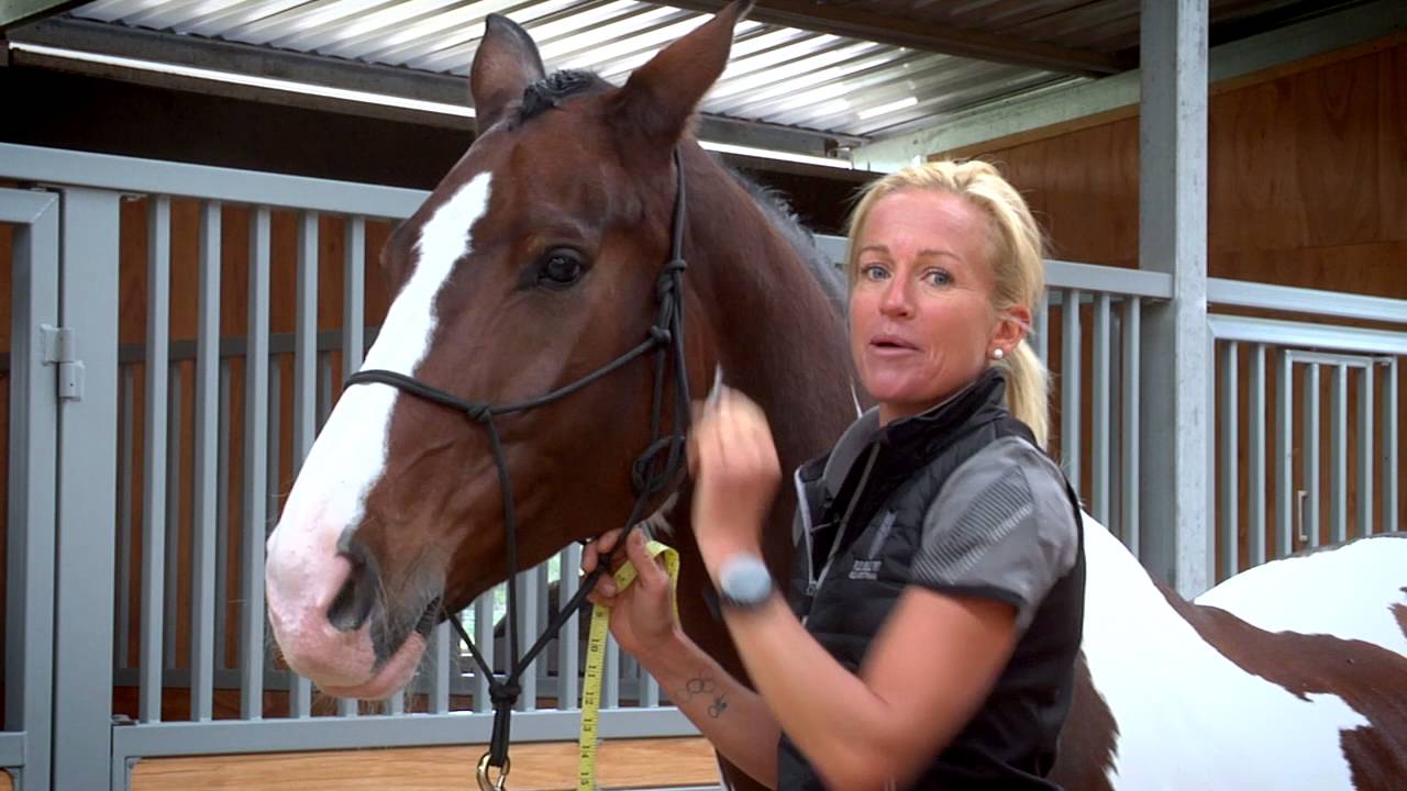 How to Measure a Horses Head