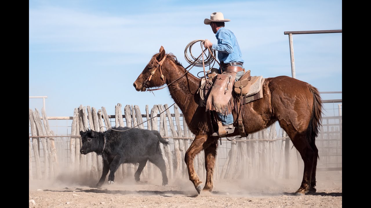 March Ranch Roundup