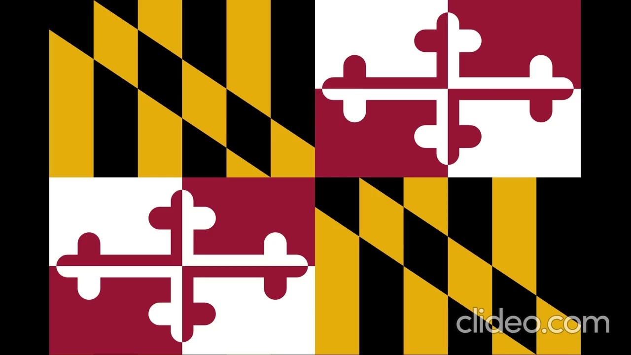 Flags of States of the USA