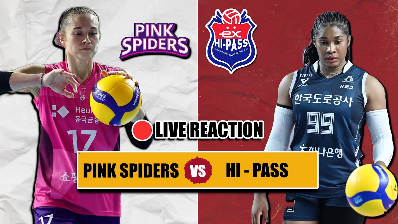 🔴 PINK SPIDERS VS HI-PASS, Live Reaction Korea Volleyball