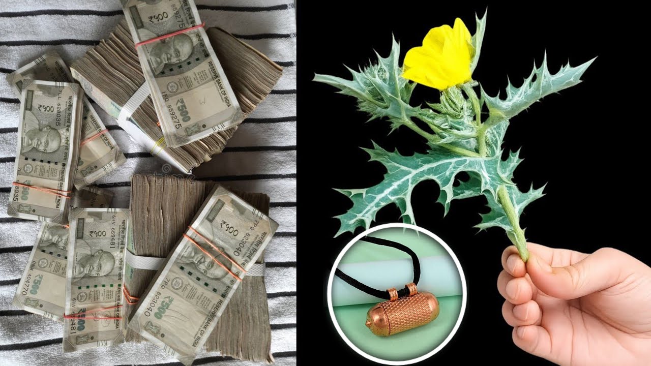 भगवान शिव ने बताया महाशिवरात्रि पर ये जड़ पहनने के 10 गुप्त चमत्कार ? पूरे साल बरसेगा पैसा..||