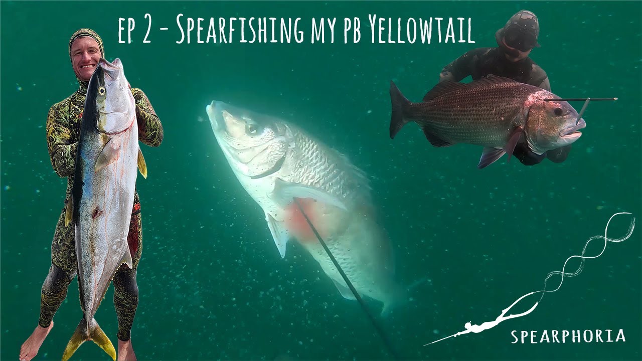 Spearphoria Ep 2-Spearfishing my PB Yellowtail [Spearfishing South Africa 2020]