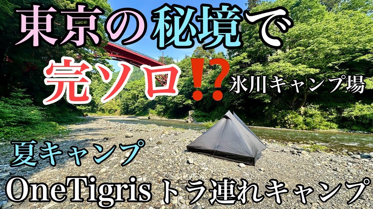 【東京の秘境で完ソロ⁉️】氷川キャンプ場OneTgrisトラ連れキャンプ　　 ワンティグリス テトラ
