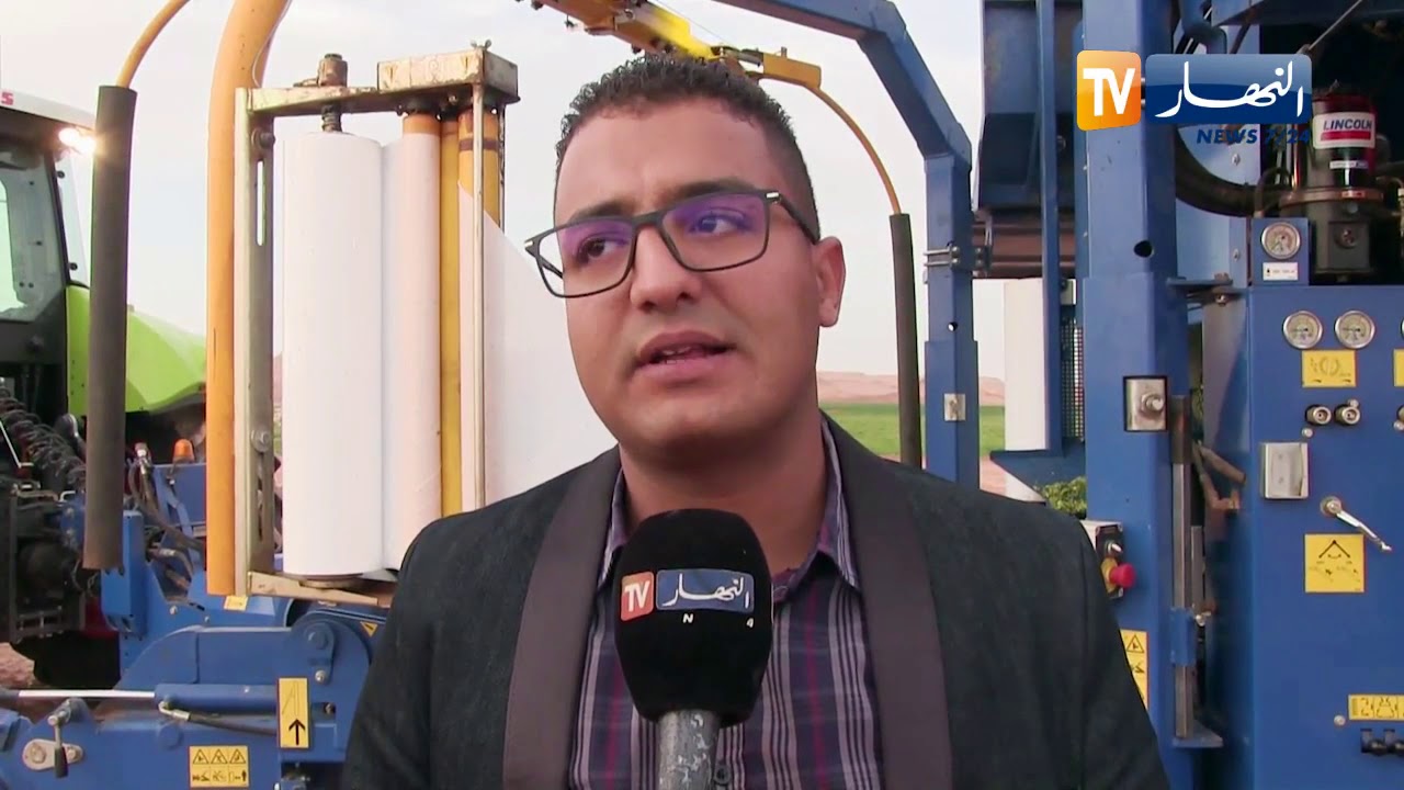 غرداية: جني الذرى المغلفة على الطريقة الأمريكية
