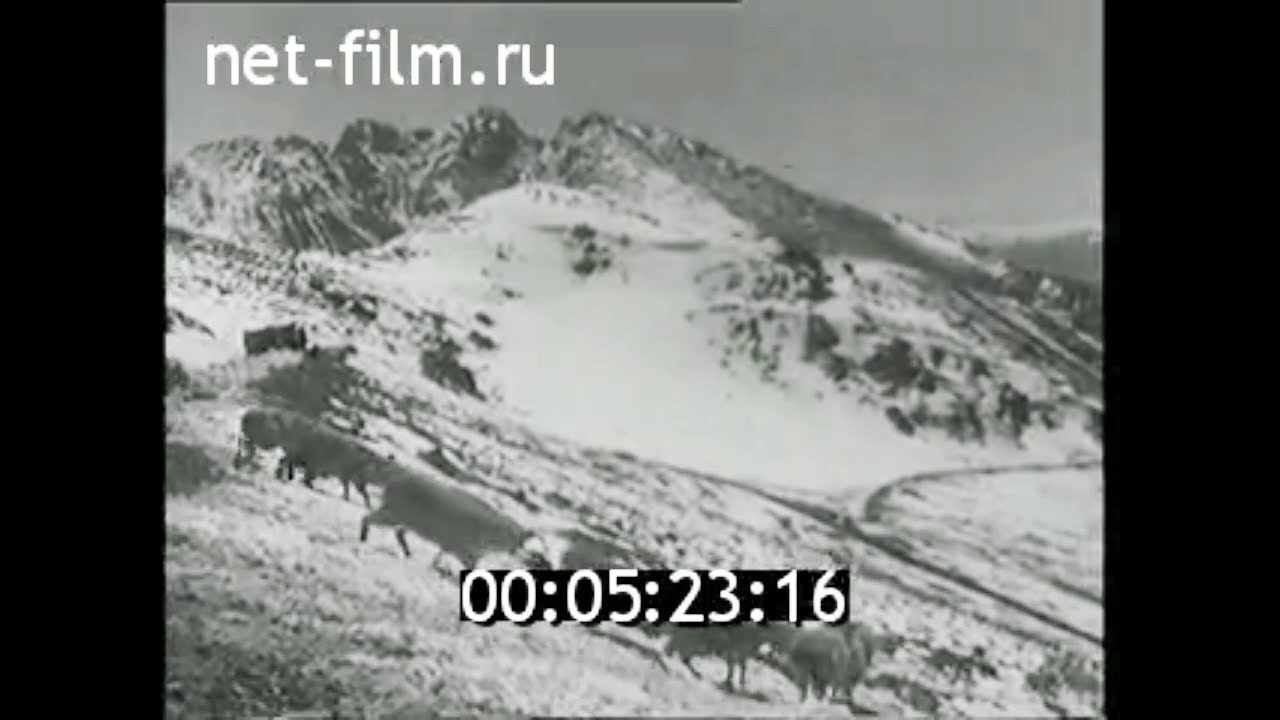 1961г. Дорога в Суусамыр. ущелье Тоо- Ашу. туннель. Киргизия