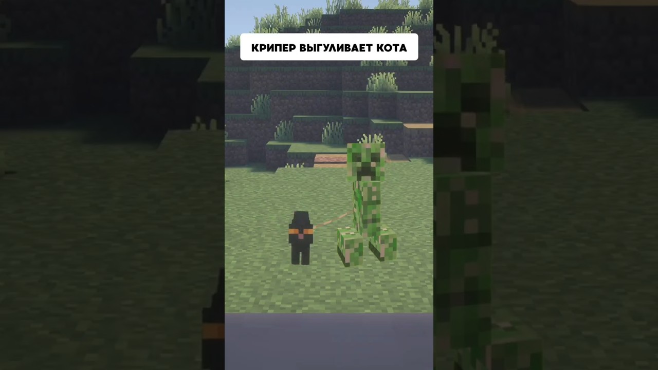 Крипер выгуливает кота | Типичный Майнкрафт #delroyltd  #minecraft #memes  #майнкрафт