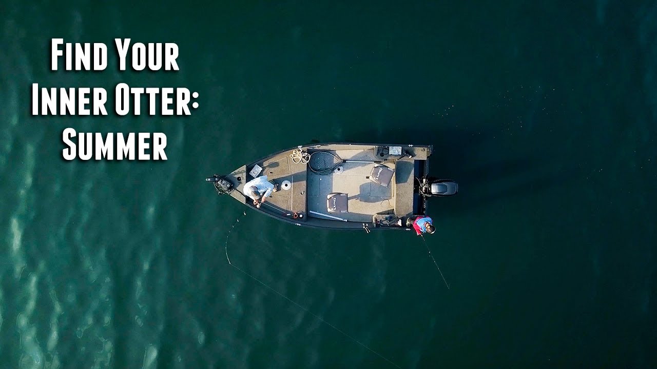 Find Your Inner Otter: Summer