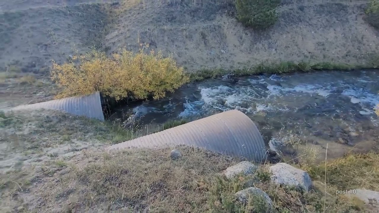 Offroad In BigHorn National Forest