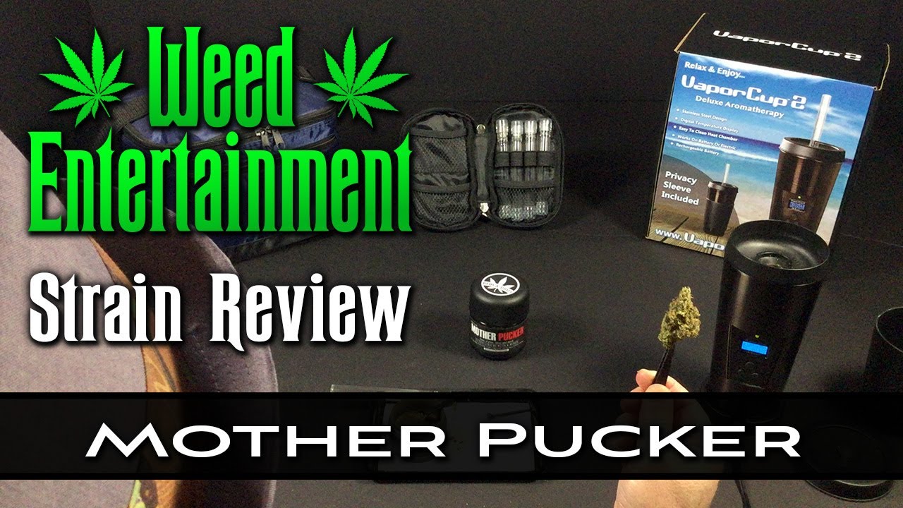 Mother Pucker - Hybrid - by Buds & Roses - Strain Review - from Buds & Roses, Studio City Ca