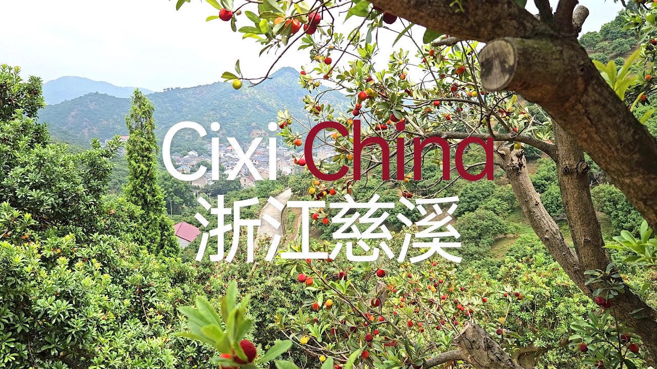 老外遊中國：寧波慈溪二日游Vlog #travel in China