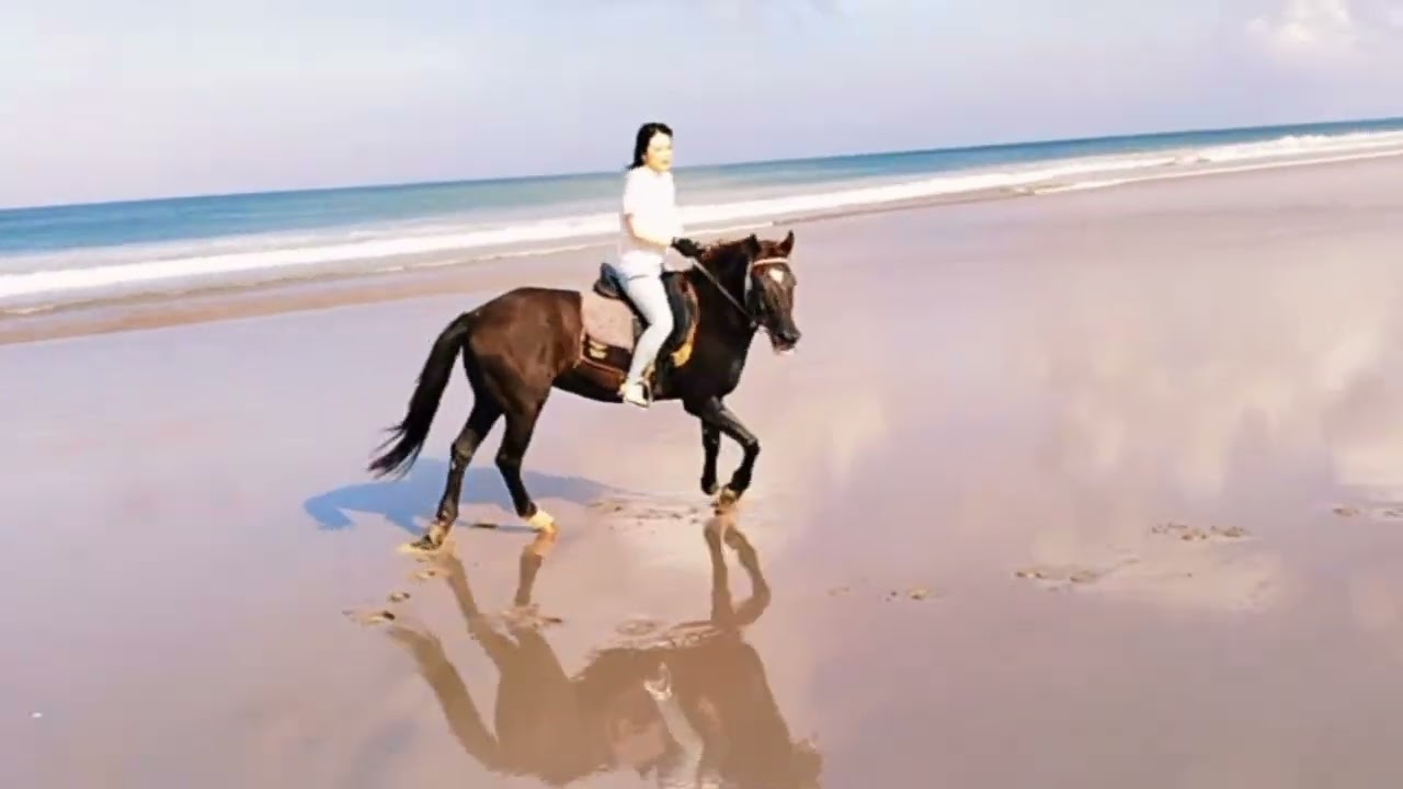 luckylukebali012 Guiding girl from Shanghai so much fun's Seminyak beach bali