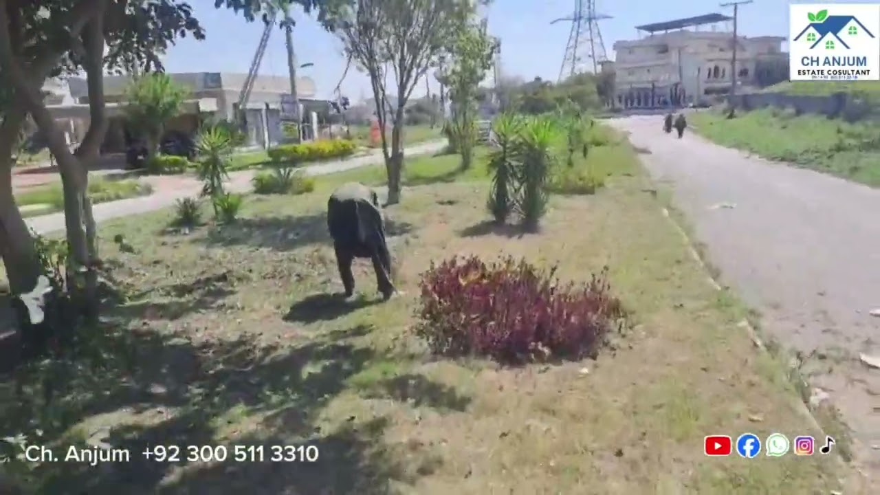 Development Work Continue in PAEC Housing Society Rawat Islamabad. +92 3005113310 #paecrawat 