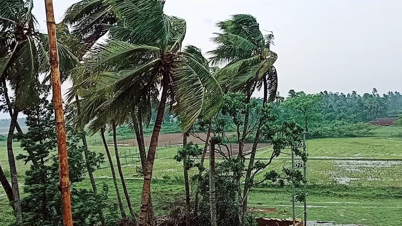 Live Cyclone #Yaas