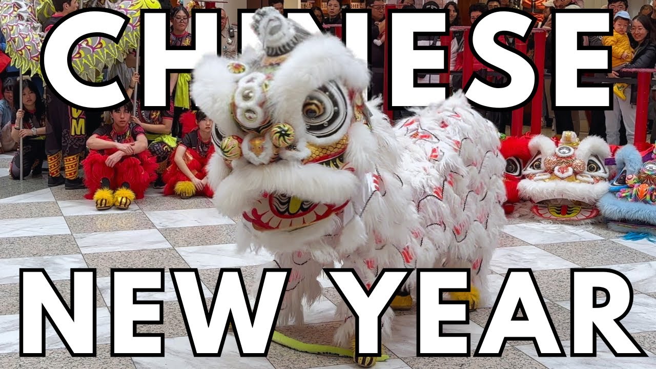 Chinese New Year 2025 Lion Dance & Traditional Chinese Dances