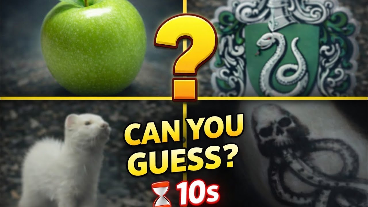 I Bet You Can’t Guess These Harry Potter Characters ⚡