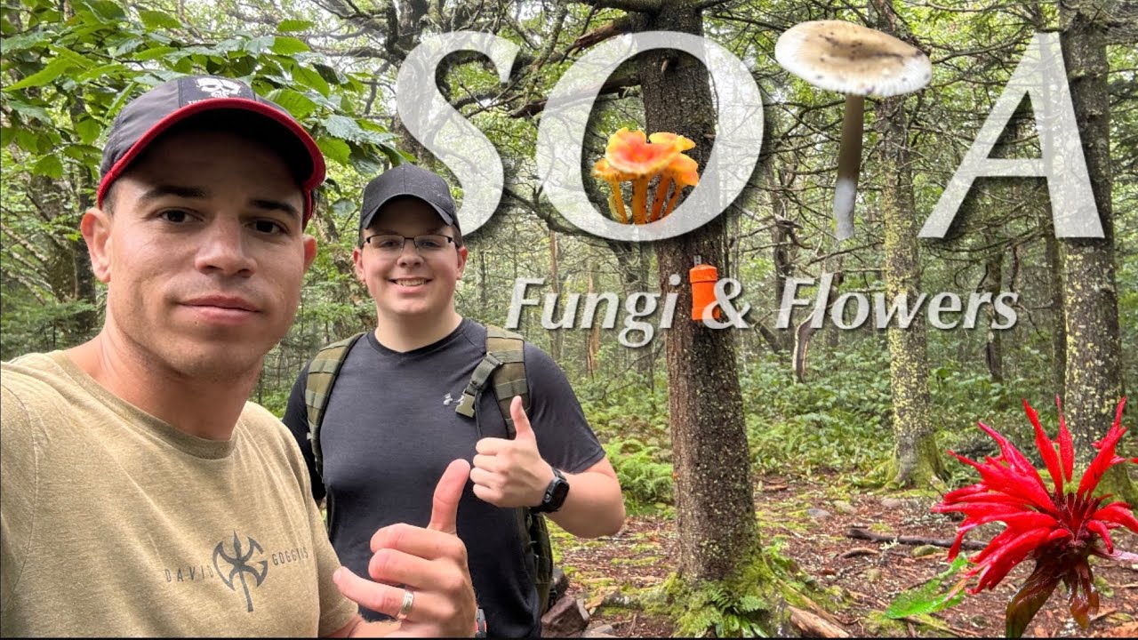 Pursuing the catskill 3500 & SOTA in the rain.