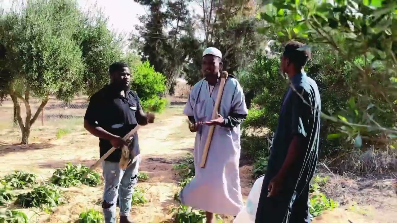 Abdul g boy Labari na officiel vidéo 