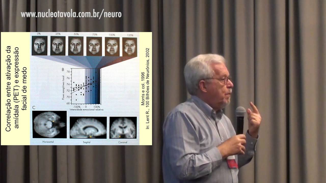 Ansiedade e pânico segundo perspectiva evolutiva - Frederico Guilherme Graeff