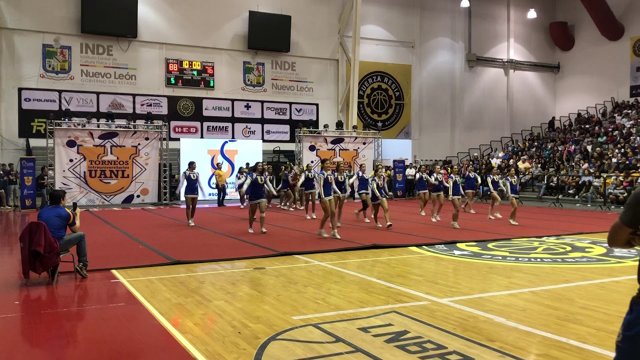Lady tigers | intra2018