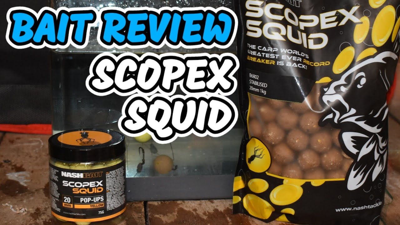 TASTE IS STUCK IN MY MOUTH! NASH SCOPEX SQUID BAIT REVIEW | TOMMYS BAIT TESTING | CARP FISHING 2024