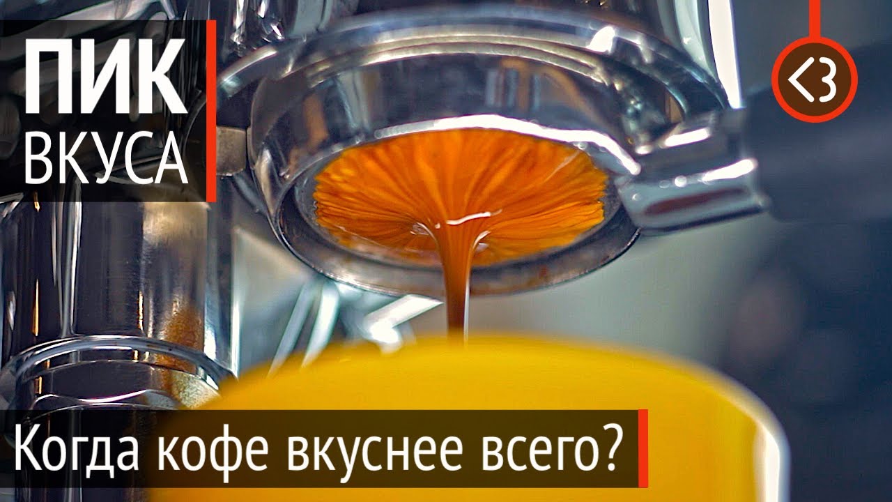 Как пить кофе на пике его вкуса? / @Кофезавр – Домашний бариста