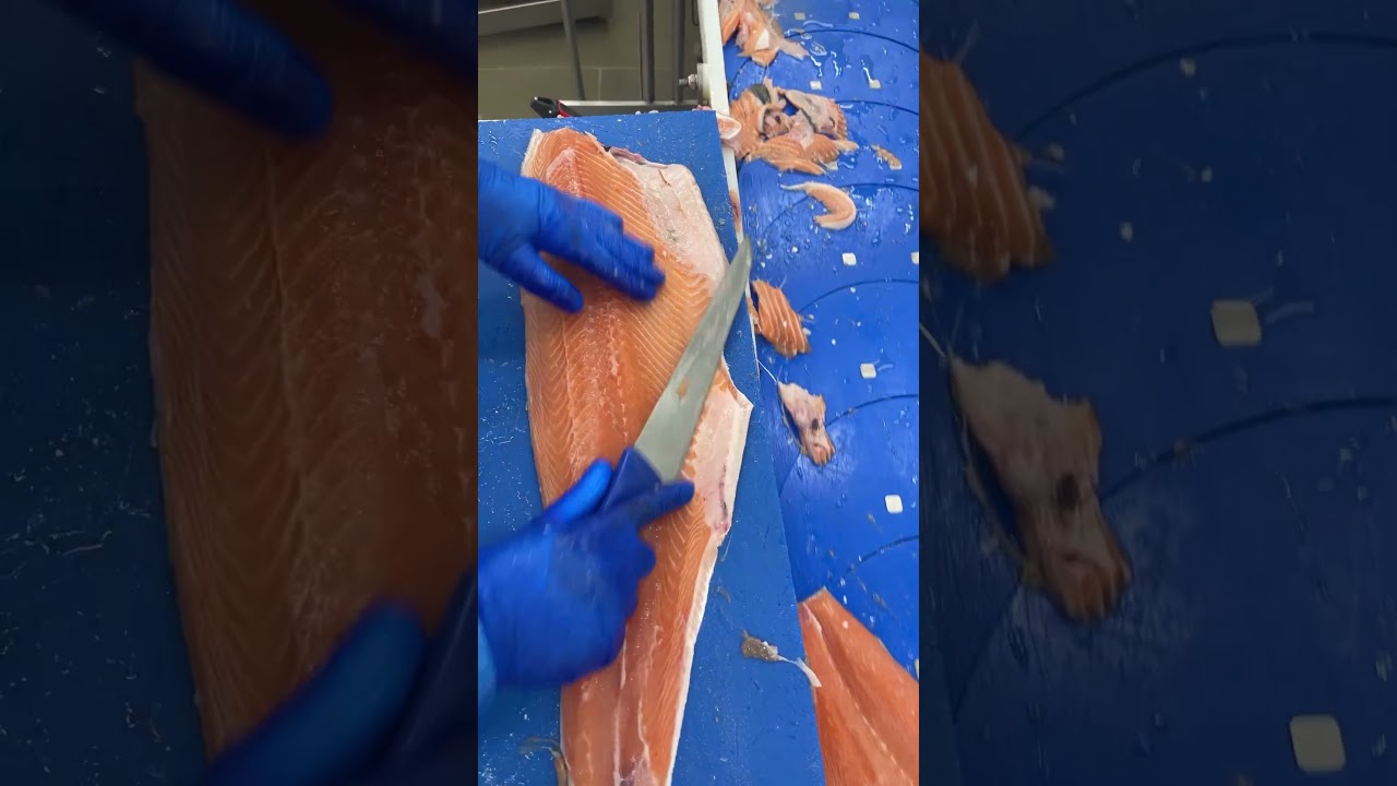 Trim D salmon ,🍣