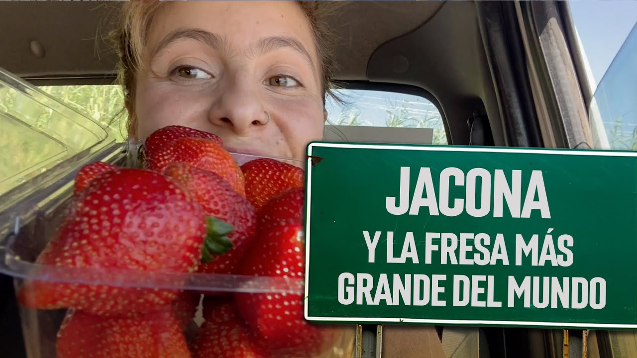 Jacona y la fresa más grande del mundo | Y pueblos que voy pasando | SMRTV