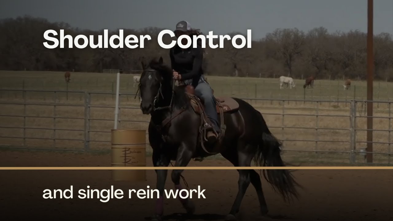 Shoulder Control and Single Rein Work with Ashley Schafer on Between The Reins