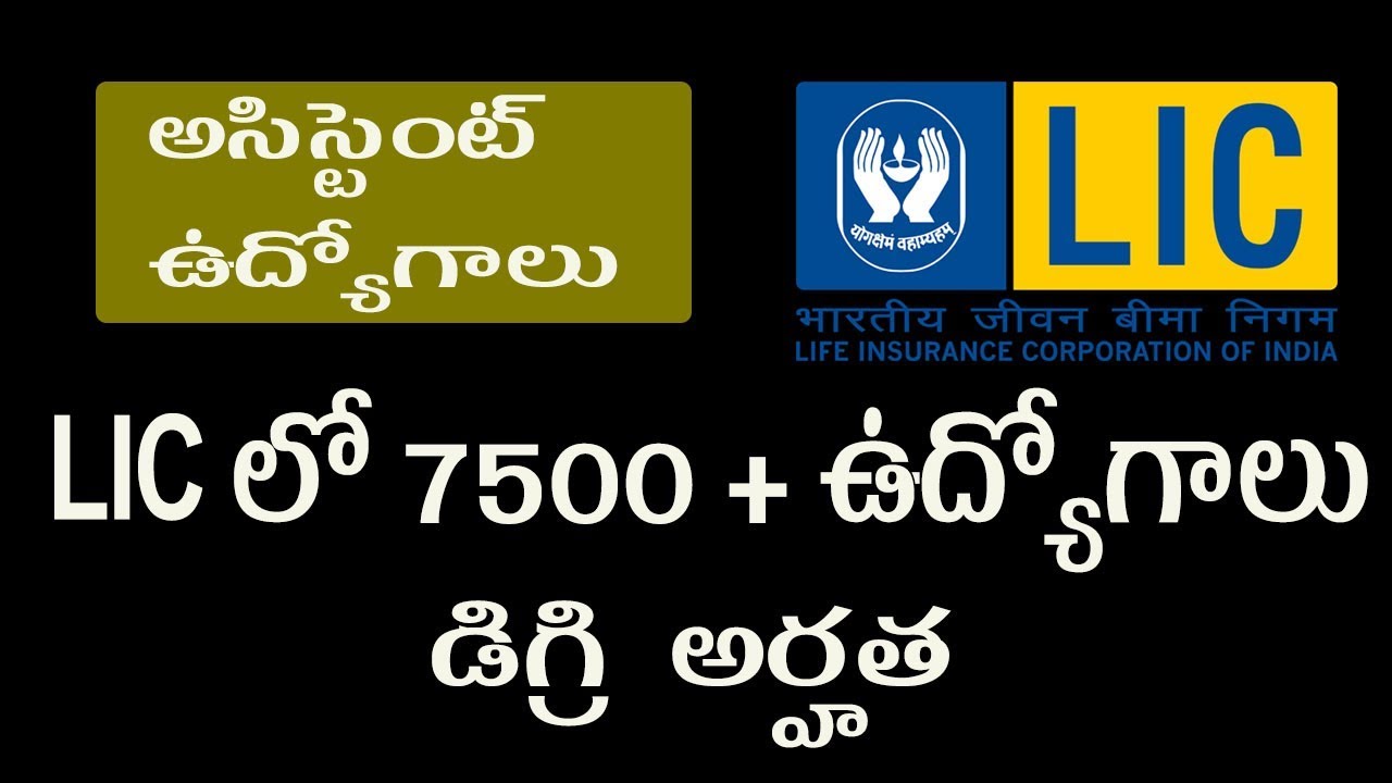 LIC Recruitment 2019 || LIC assistant notification 7500+ Vacancies || Salary 30,000 Latest Jobs 2019