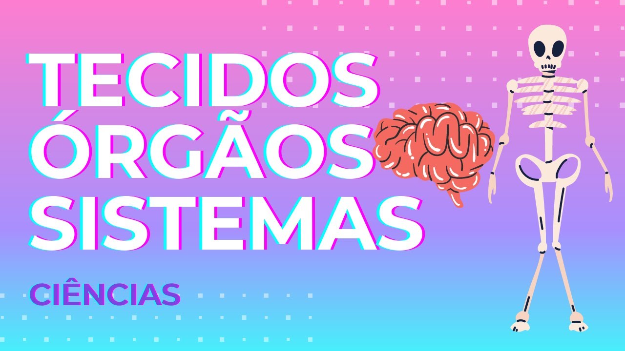 TECIDOS, ÓRGÃOS E SISTEMAS
