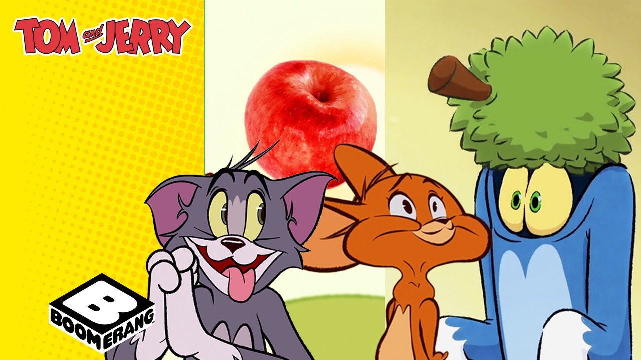 Grandi avventure per piccoli studenti!📚🐭 Compilation di Tom e Jerry | Tom e Jerry | Boomerang Italia