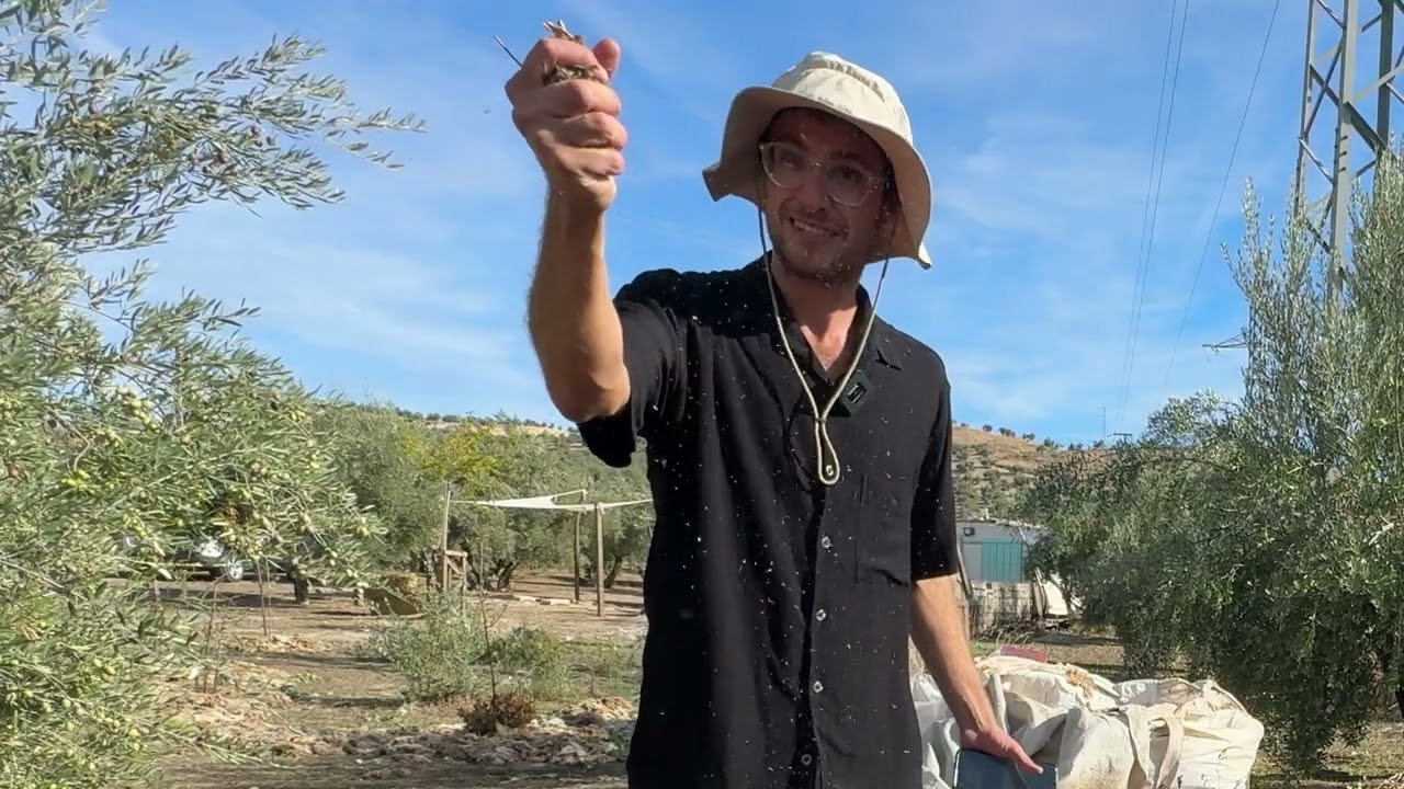Las CLAVES para hacer un BUEN COMPOST y BIOCHAR 🍋 Resumen para EMPEZAR A COMPOSTAR