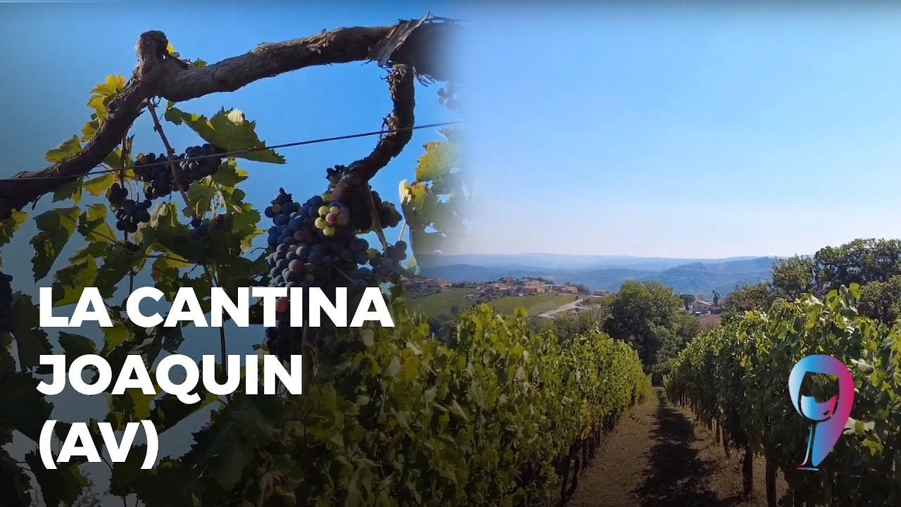 La Cantina Joaquin (AV)