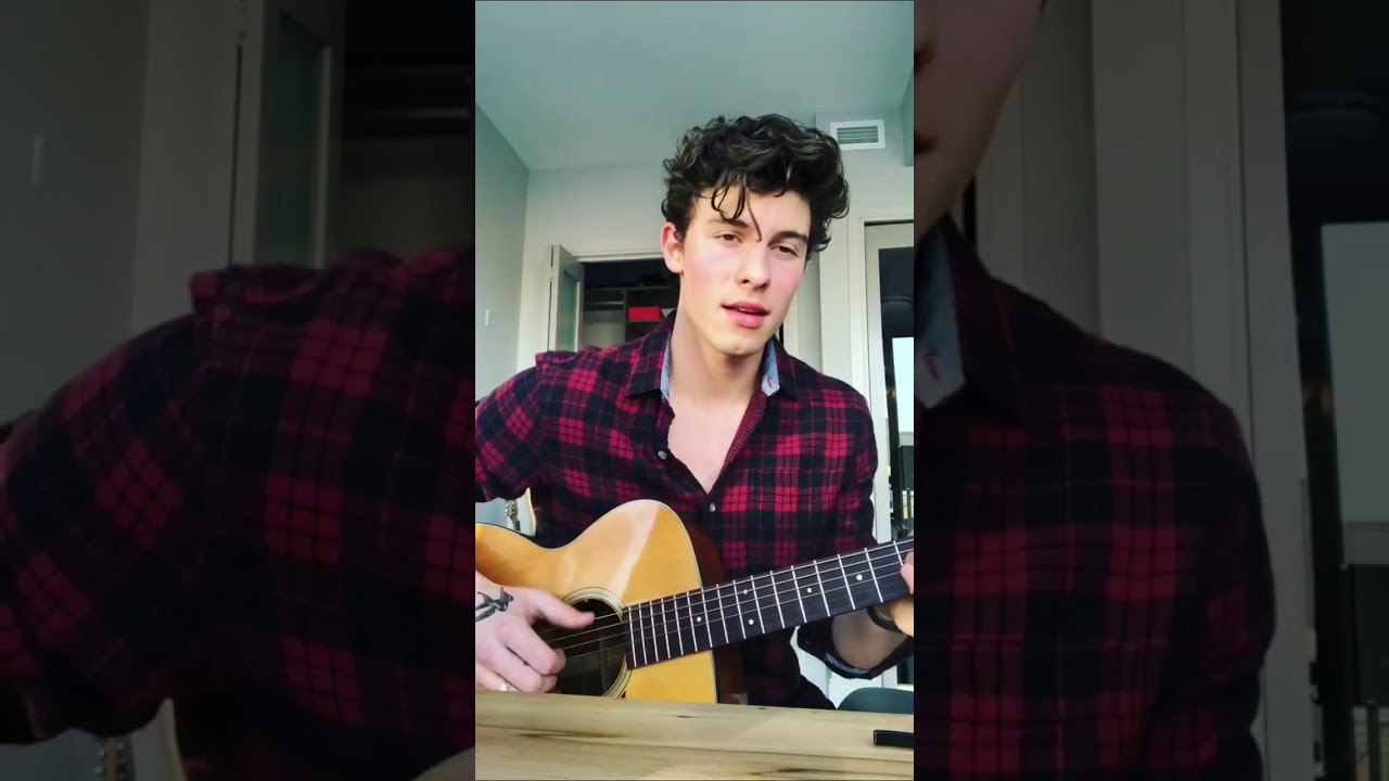 Shawn Mendes 