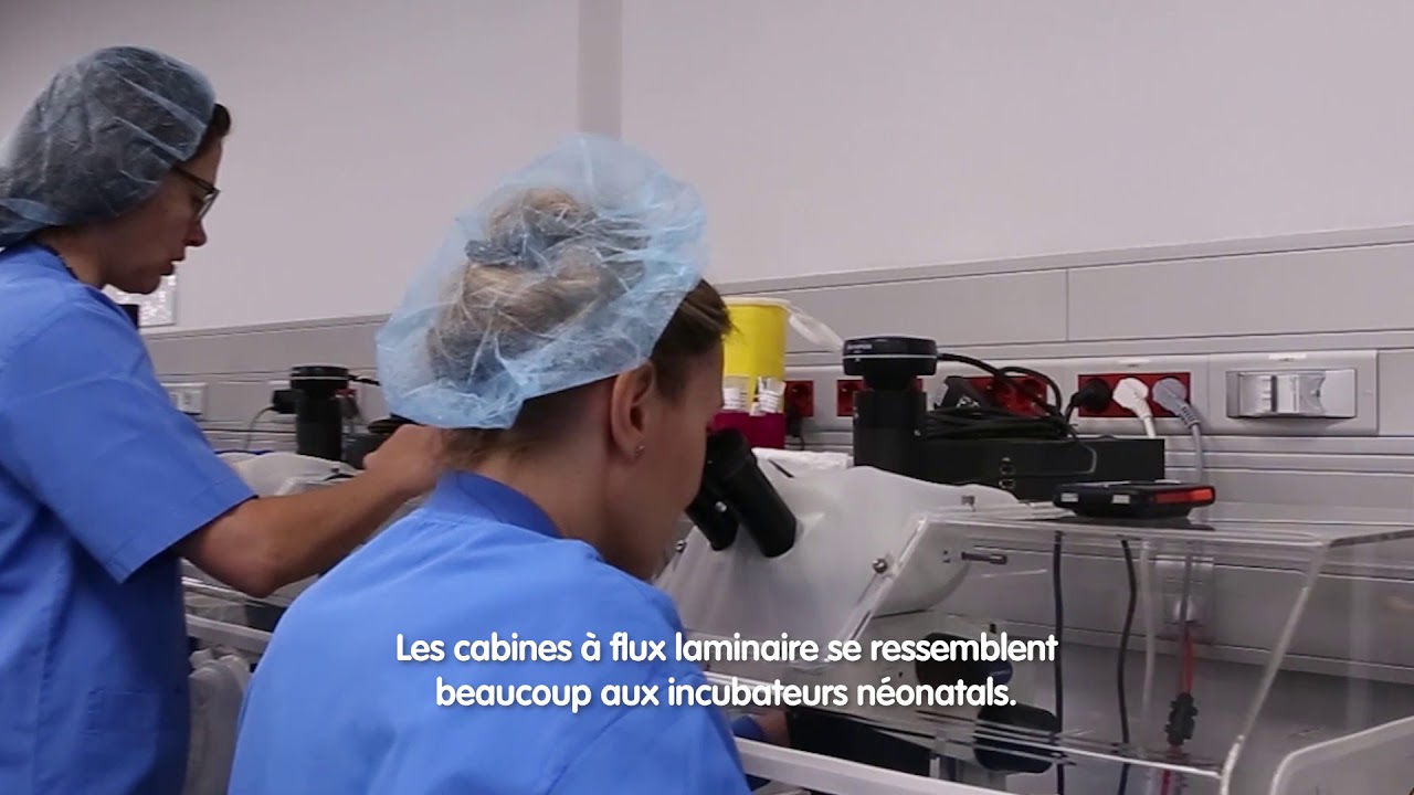 Visite virtuelle au laboratoire FIV d'IVI.