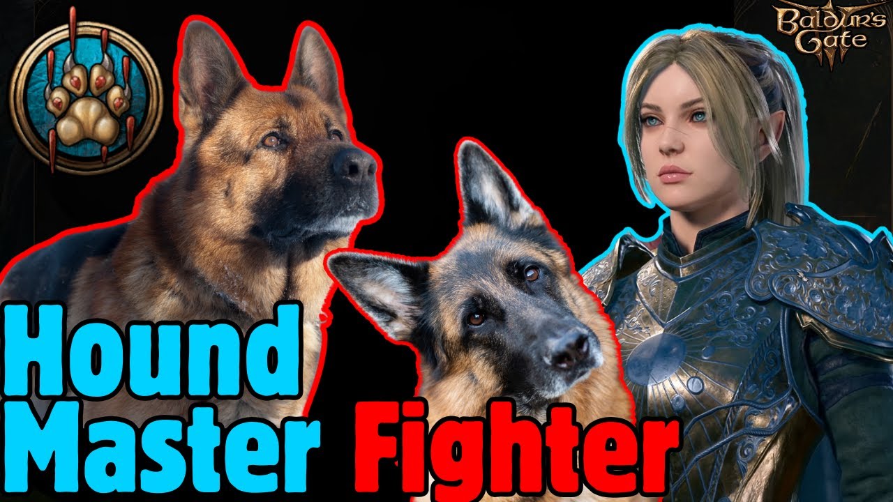 HOUND MASTER FIGHTER Mod Build - Baldur's Gate 3