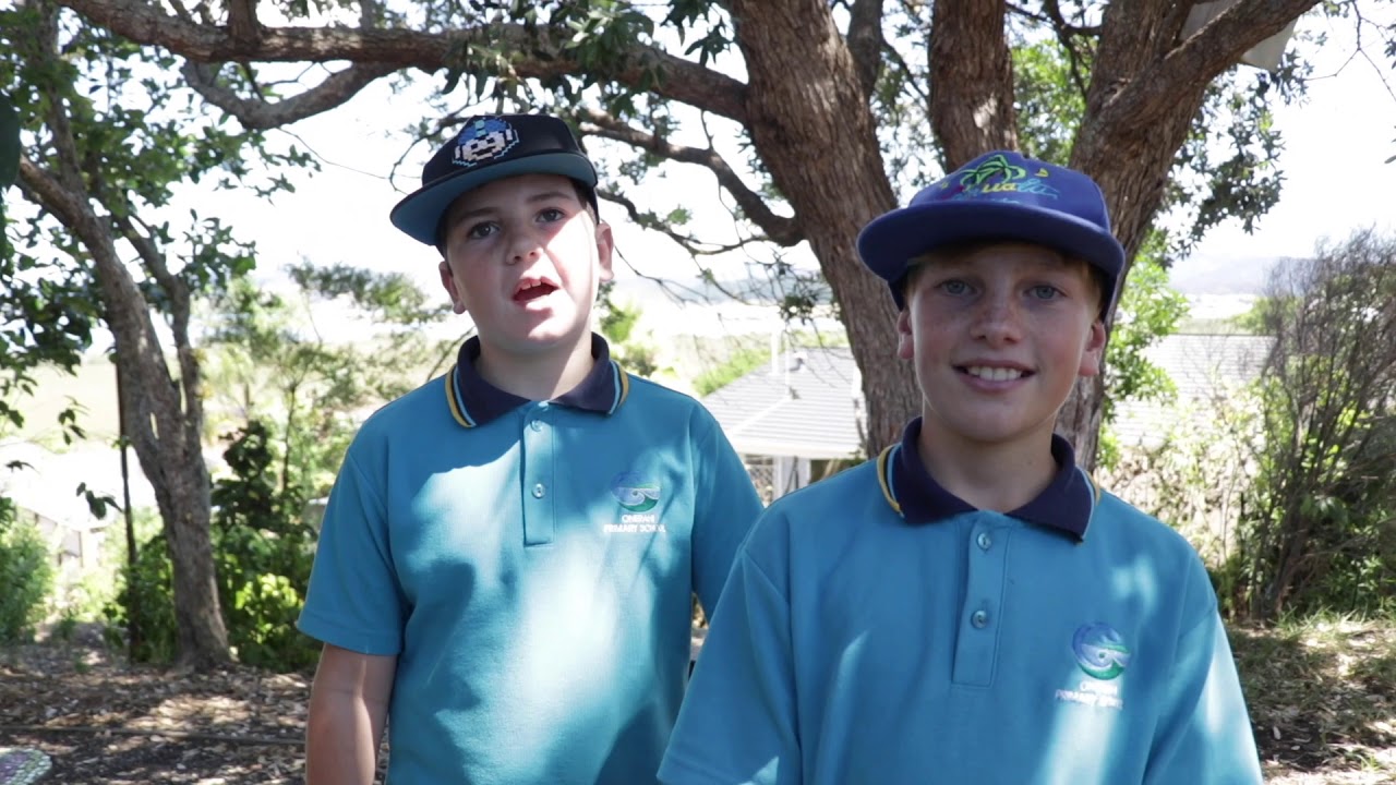 Three Taonga at Onerahi School 2020