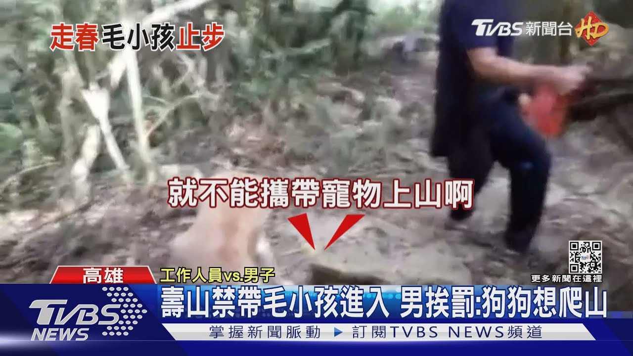 國家公園全「禁帶毛孩」! 竟剩「這個地方」有條件開放｜TVBS新聞  @TVBSNEWS01