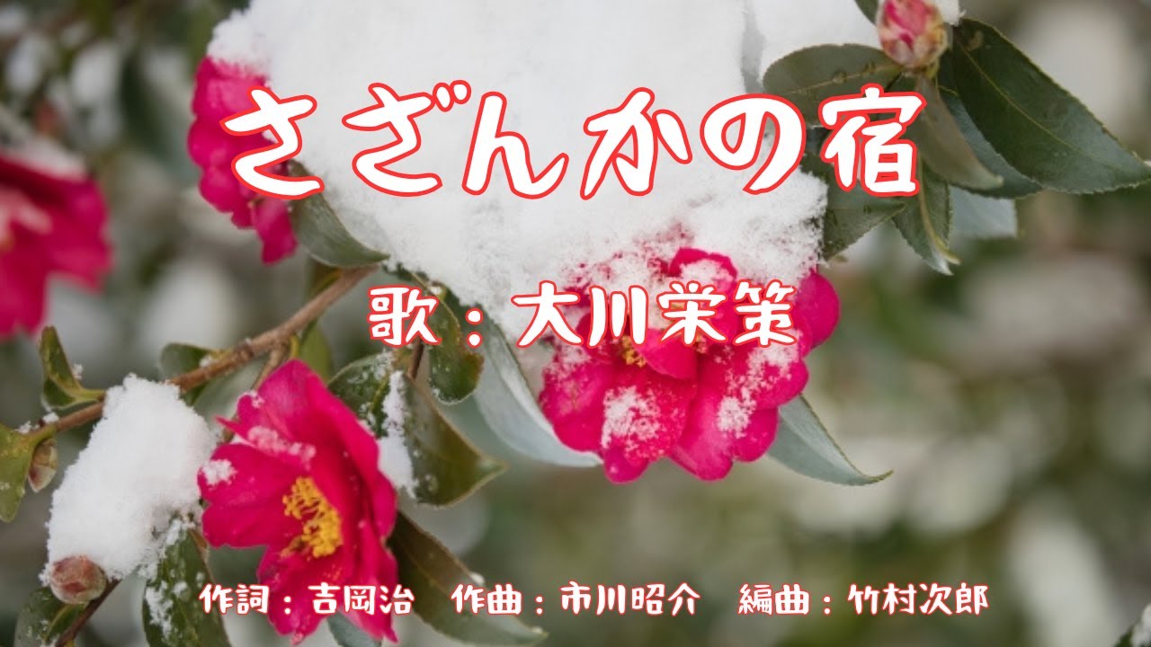さざんかの宿　大川栄策